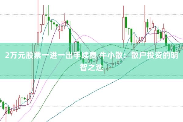 2万元股票一进一出手续费 牛小散：散户投资的明智之选