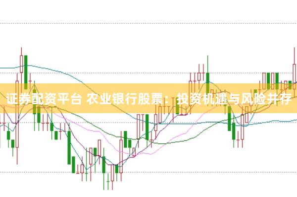 证券配资平台 农业银行股票：投资机遇与风险并存