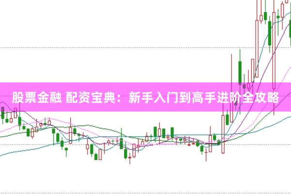 股票金融 配资宝典：新手入门到高手进阶全攻略