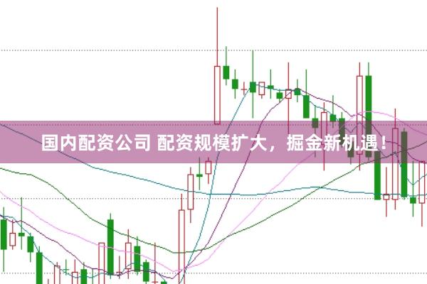 国内配资公司 配资规模扩大，掘金新机遇！