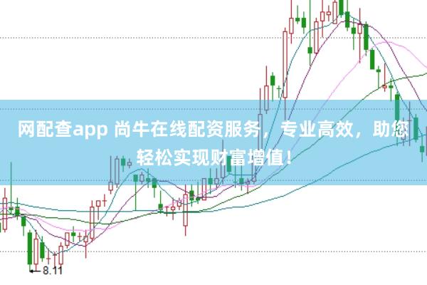 网配查app 尚牛在线配资服务，专业高效，助您轻松实现财富增值！