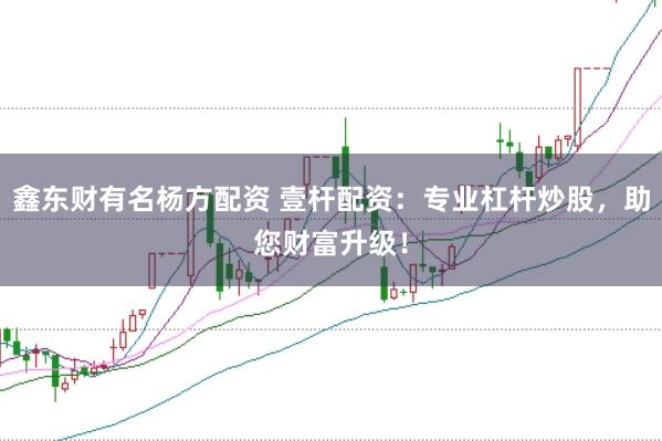 鑫东财有名杨方配资 壹杆配资：专业杠杆炒股，助您财富升级！
