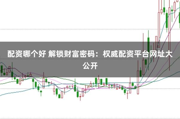 配资哪个好 解锁财富密码：权威配资平台网址大公开