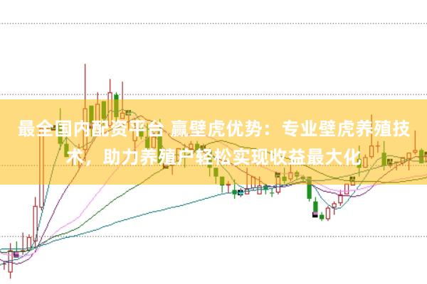 最全国内配资平台 赢壁虎优势：专业壁虎养殖技术，助力养殖户轻松实现收益最大化