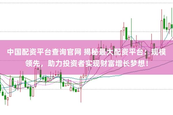 中国配资平台查询官网 揭秘最大配资平台：规模领先，助力投资者实现财富增长梦想！